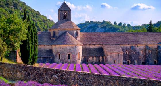 Školní zájezdy do Provence